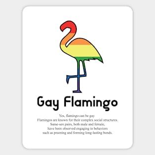 Gay Flamingo G5b - Can animals be gay series - meme gift t-shirt Magnet